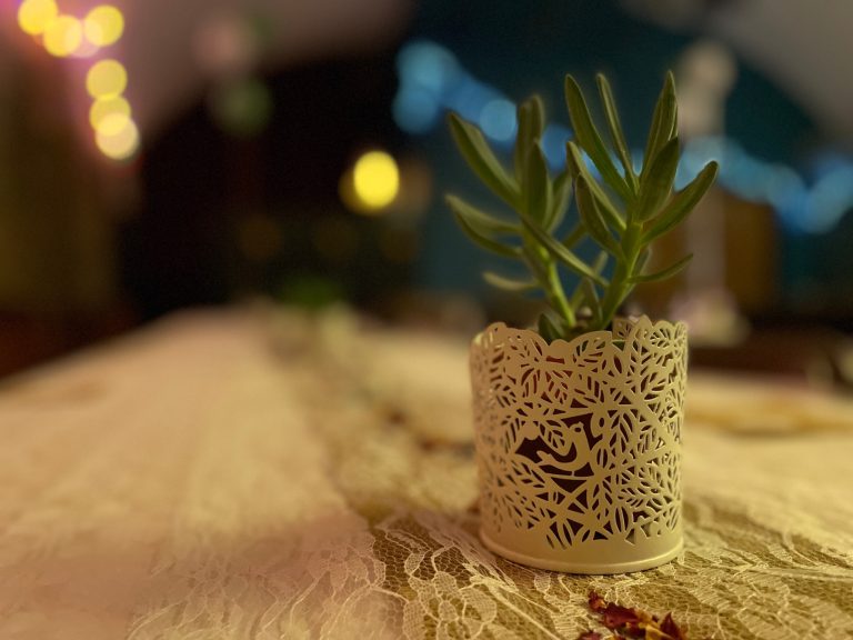 d9b26b61 8324 4860 b709 47bf00d5f2fd 768x576