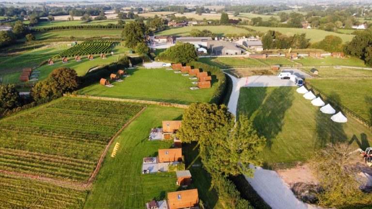 daedb00e 22cf 4021 abb2 04d6d0c3a916 768x432