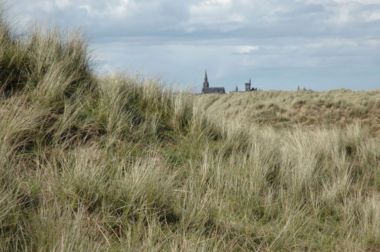 db042f4f 0113 4034 9cb6 7594d5d4d341 768x511