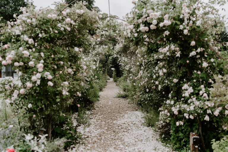 dc8261e7 4ce9 414c b039 45179128b80b 768x512