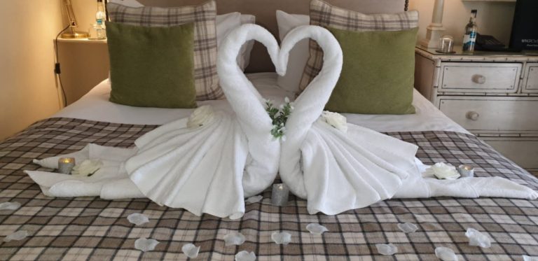 de305993 16e2 4f20 8e52 f6d383a78d74 768x373