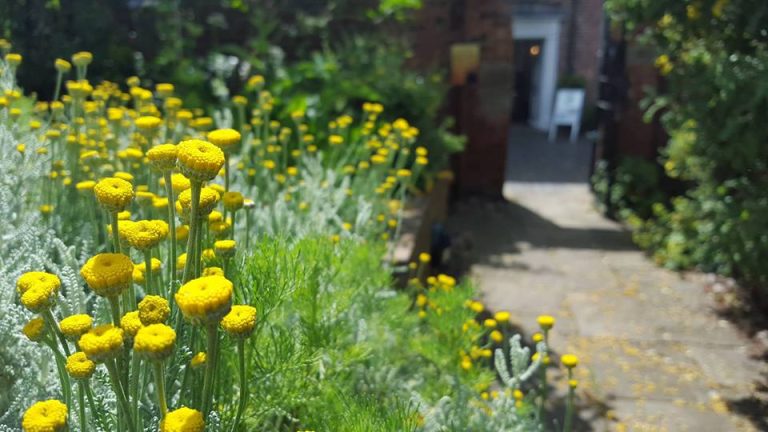 df6ea50b 25c2 47cd 9979 66ad21003a1b 14141590 10153613919927493 1303808433599092171 n 768x432