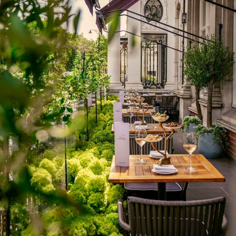 digital 1 1 cad 290724 01 07082024033620 768x768