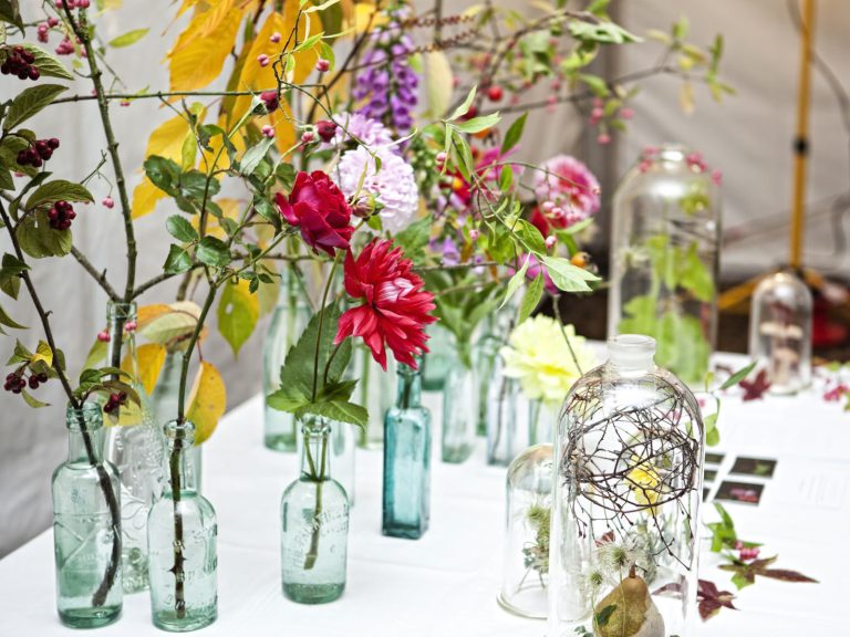 displays ivpdmn 768x576