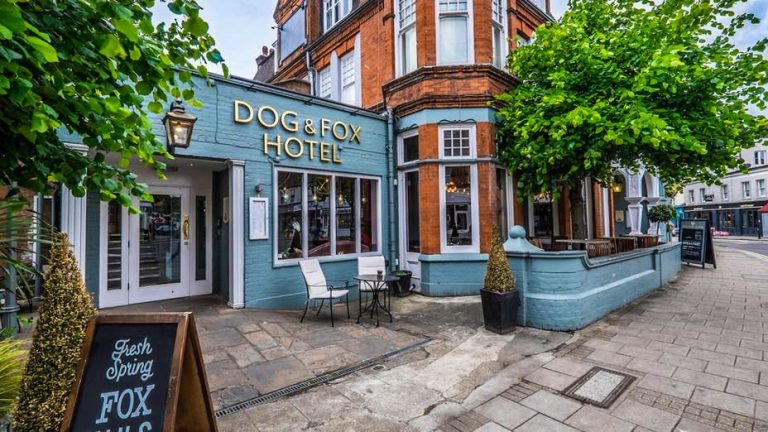 dog fox menu 15012020041846 30122021070146 768x432