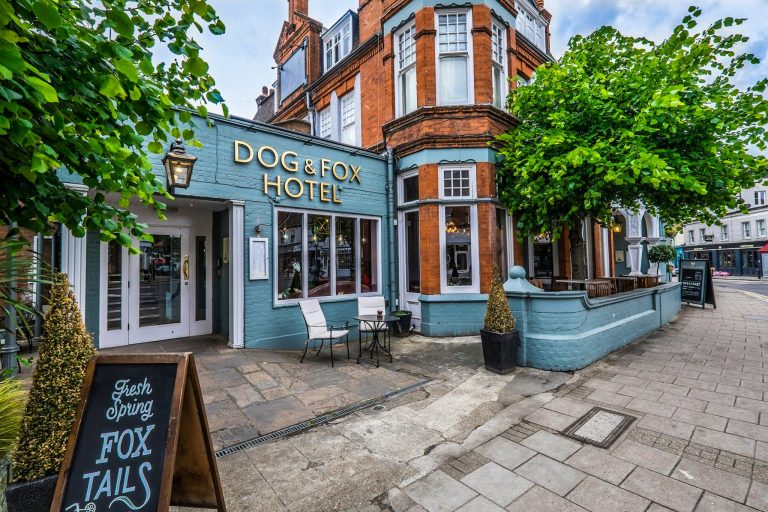 dog fox menu 15012020041846 768x512