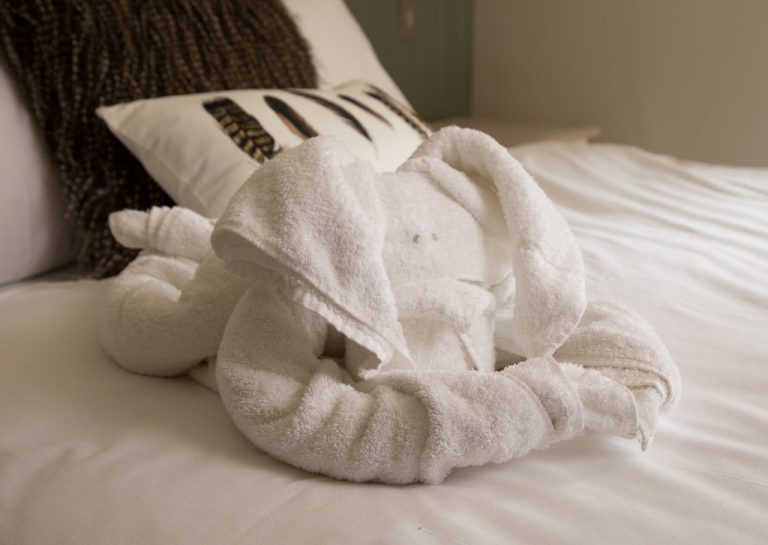 drnj1g67m6c7zttvq2pf 768x545