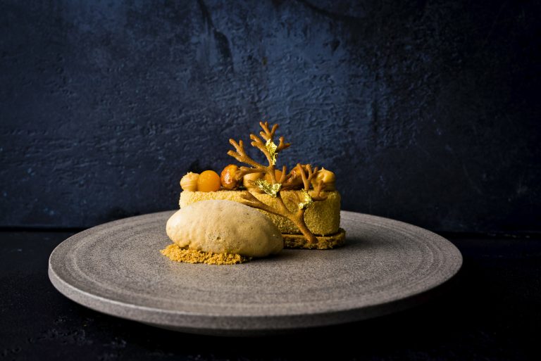 dsc 2643 copy 24012024025344 768x513