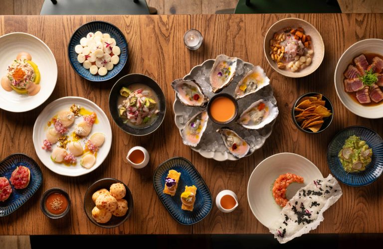 dsc 4985 14112023115014 scaled 768x500