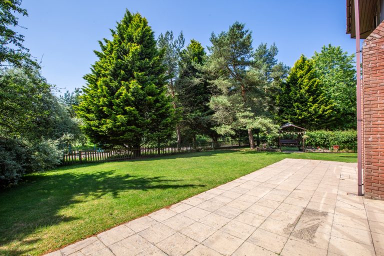 e05784e8 5f15 4bc0 bde3 4622bdc1270a 768x512