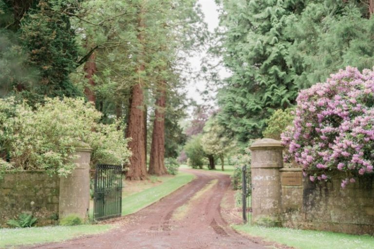 e0815fb0 7c64 4ae5 8a42 8538dff7c4f6 768x512