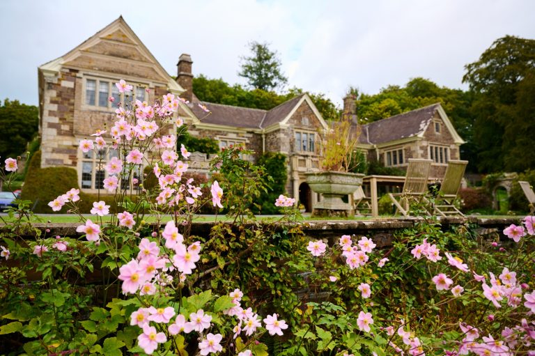 e1392ad7 0952 4bb6 a21b bfa490fec927 768x511