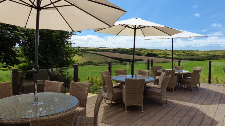 e1d47c0b d77c 46bd 9a61 a15caaafa9d1 768x432