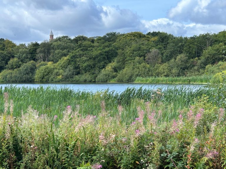 e2057f41 cf24 46de b423 11983872b170 768x576