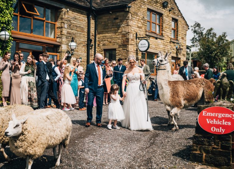 e20f0b85 8caf 46d1 8a01 450269929bb8 768x555