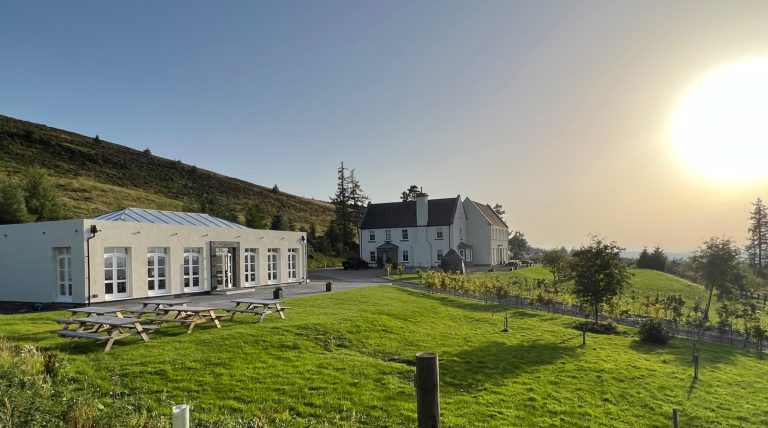 e395e92b a996 4010 a5f4 6d2705f3c67d 768x428