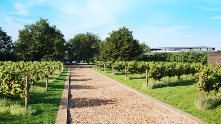 e5316f4a 2647 475f abba 5d296b7dcb81 768x432