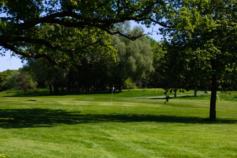 e561d54f 4c8c 4da4 9101 135fe06ee1ea 768x512