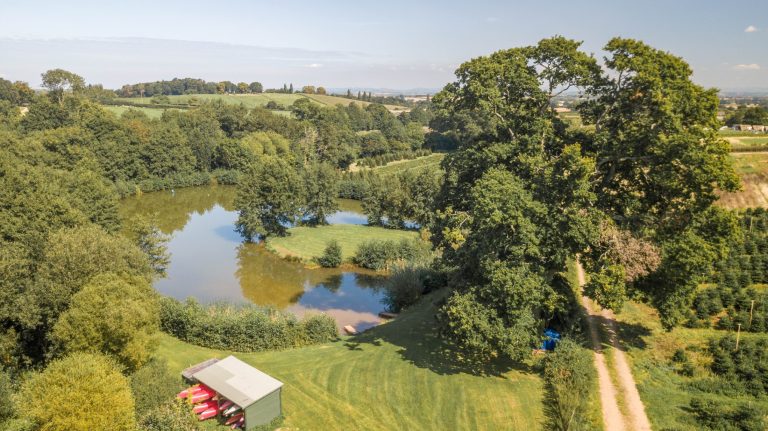 e66be9ed 1ffa 4b1a ae86 7ca75cee391f 768x431