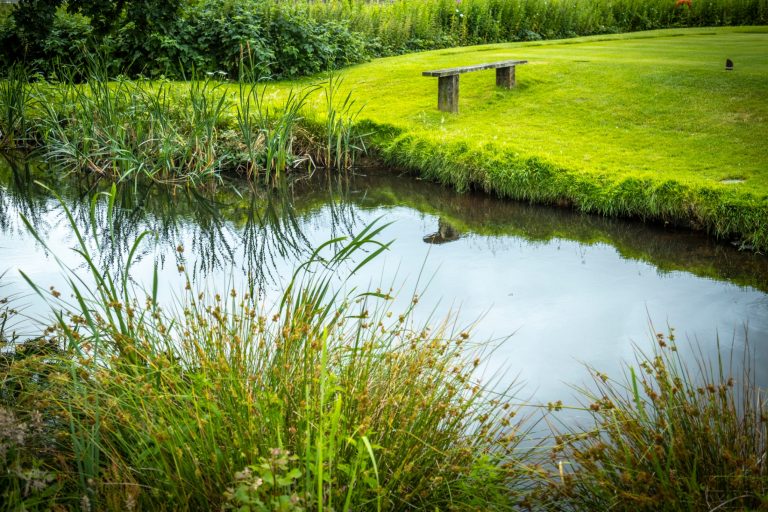 e726a50c 9d48 406d aeee fa5c15a7b972 768x512