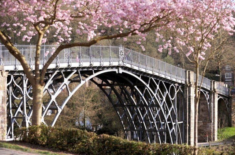 e8e939a1 8614 4a94 b04c 8505bda4677b Ironbridge Blossom 768x507