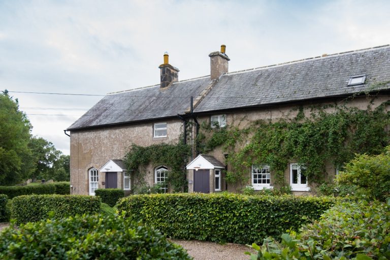 ecab0fec d619 4859 95a5 7d87cd8ecd8b 768x512