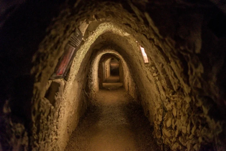 ed642e97 7e44 413f 8e8a 971a97fae560 768x513