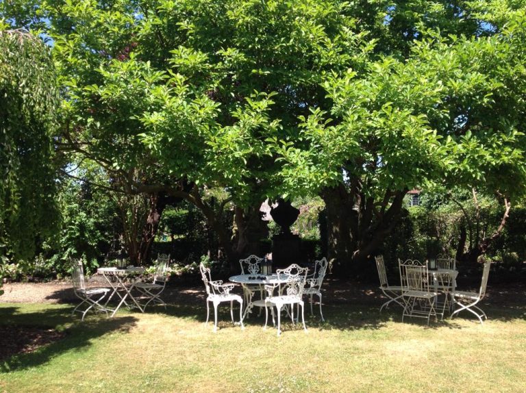 eeBXdjJwY6 photoA18 768x574