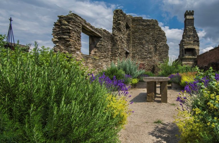 eeab48ba 72f6 4815 b5a4 dd9b8419586a 768x502