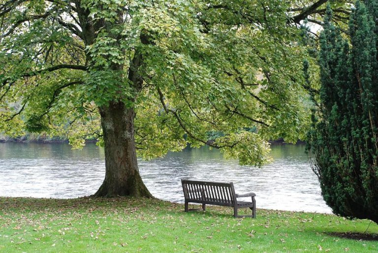 eev1gAxDXx photoA15 768x514