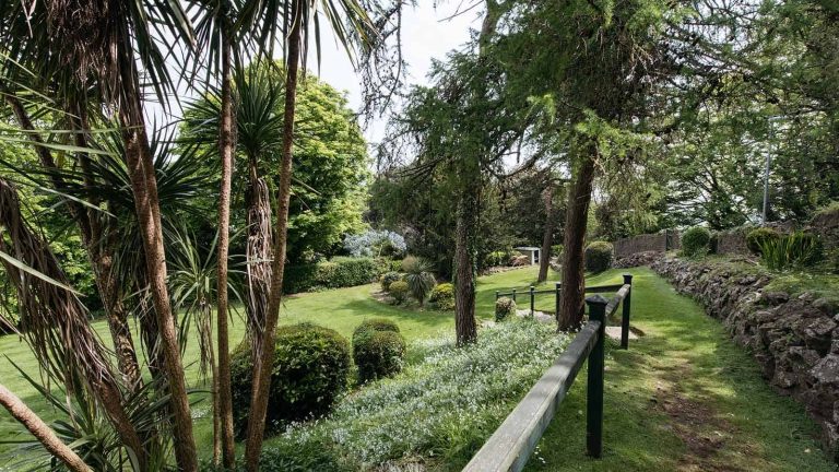 eey8J9aEYl photoA17 768x432