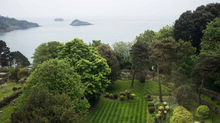 eey8J9aEYl photoA9 768x432