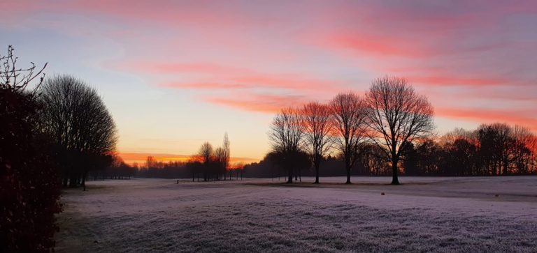 ef302625 1d99 4c5d ade1 8165e9ef53da 768x363