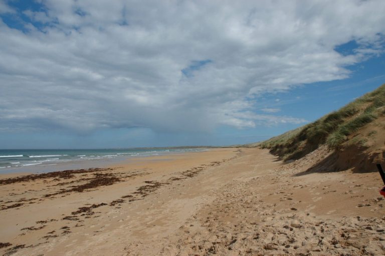 ef51d684 64dc 4bce 92fd 71e57ea07d84 768x511