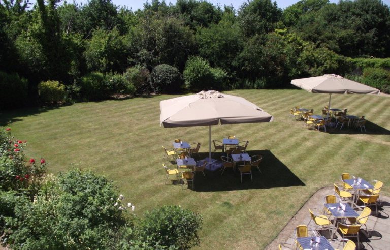 emotionheader 2.jpg djqgc8 768x492