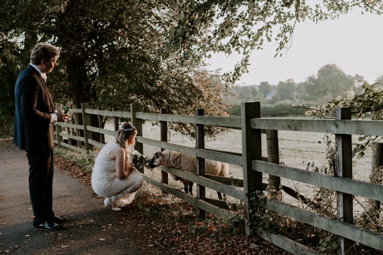 f00d6252 e122 498d 9ff5 d5260d0750b7 768x512