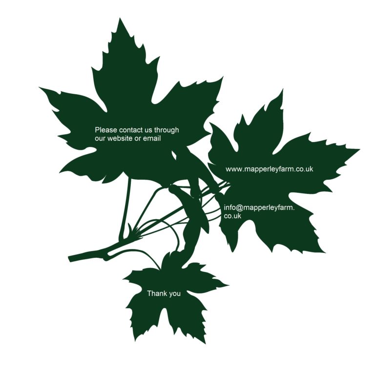 f0541ca1 c88c 4e15 959f a00f014b5bf3 768x764