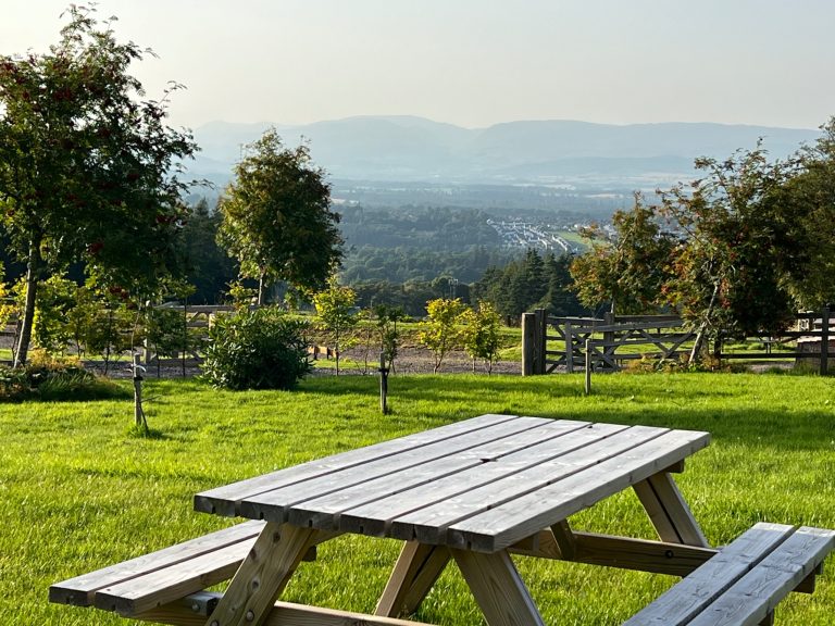 f2cbeab2 b740 49b7 bbef a293a5f59354 768x576