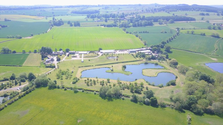 f43ed772 ab39 41f8 a0cc f5aba296972b 768x432