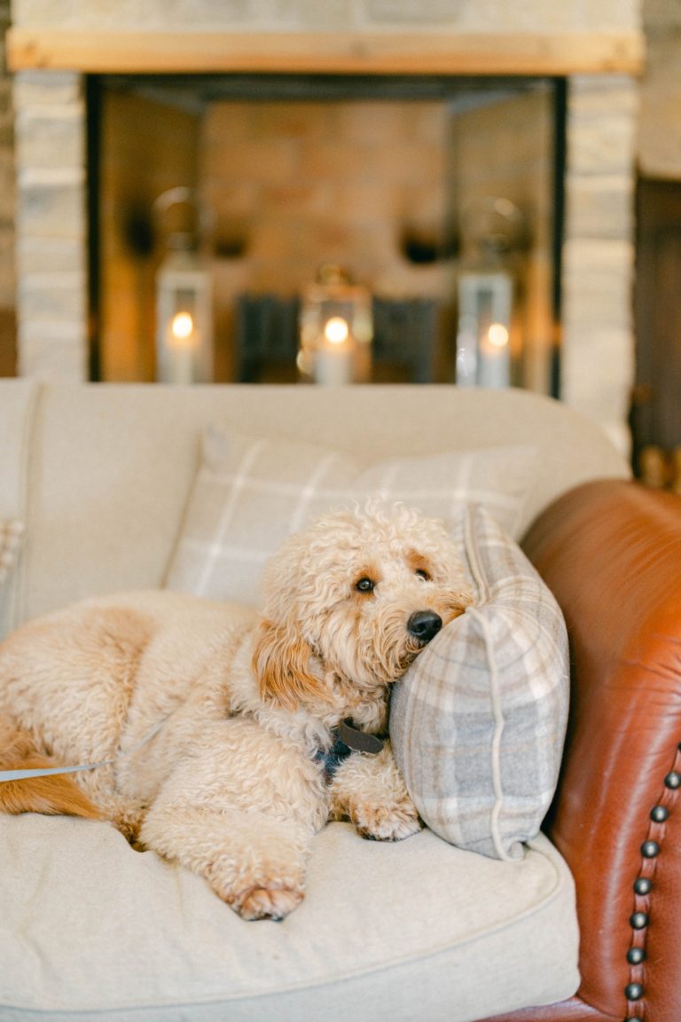 f4a0962d 690a 4ff3 b8df c1ba9fb192af 768x1152