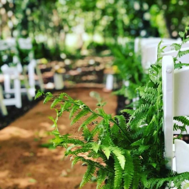 f589c6ae 11db 4906 aaca d7c12eecdb00 768x767