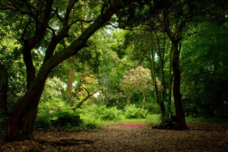 f5b62618 313d 4255 ae75 072e49000022 768x512