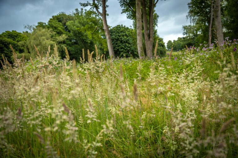 f86912b5 88f0 4348 9ab9 66f9062ce22f 768x512