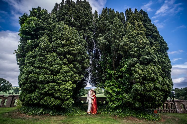 f874391e 7c1c 4ab9 930d b442fea67ee1 IMG 2557 768x512