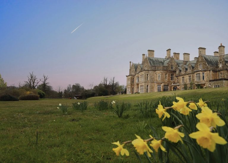 f9be107d e849 4890 b799 91965a8b6561 768x550