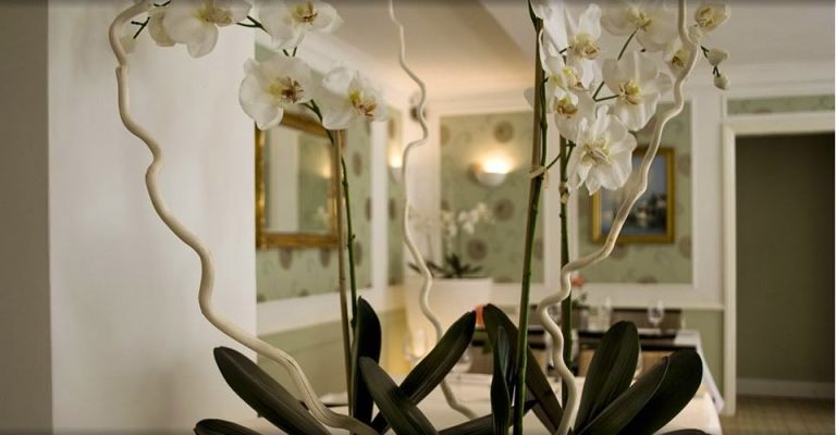 falcon hotel flowers 768x400