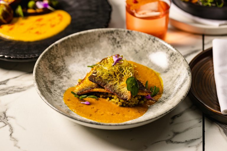 farzi hr 39 09102023045519 768x512