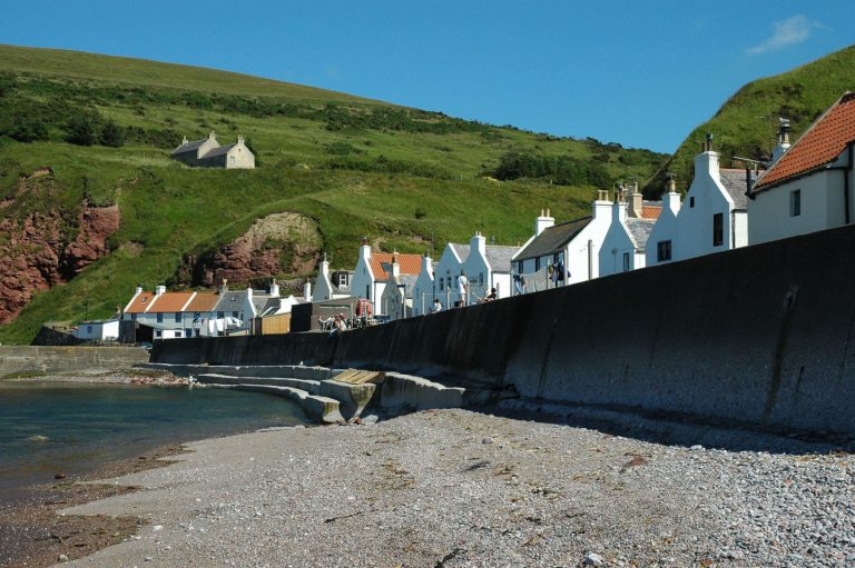 fb4302ff 77b8 4332 8b1c 75a87705a2b4 768x511