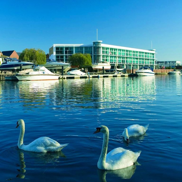 febf6581 490e 4d4d 82f9 76b81a32c37b 768x768