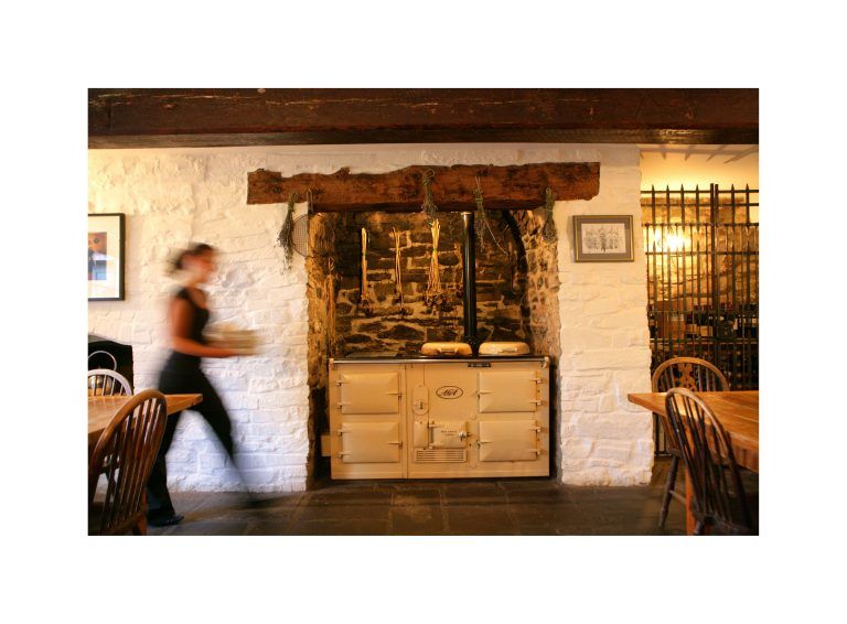 felin fach griffin 2008   griffin aga 768x566